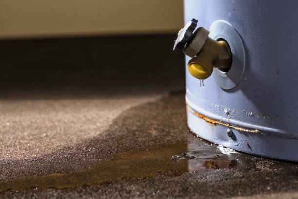 Best 24/7 water damage repair  in Nanuet, NY