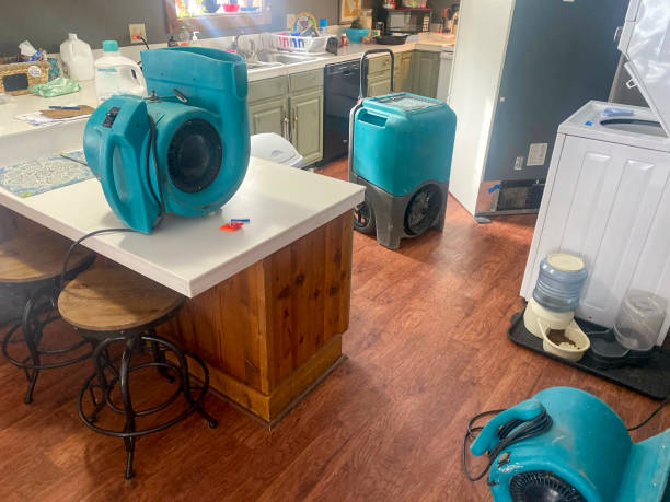 Best Basement water damage restoration  in Nanuet, NY