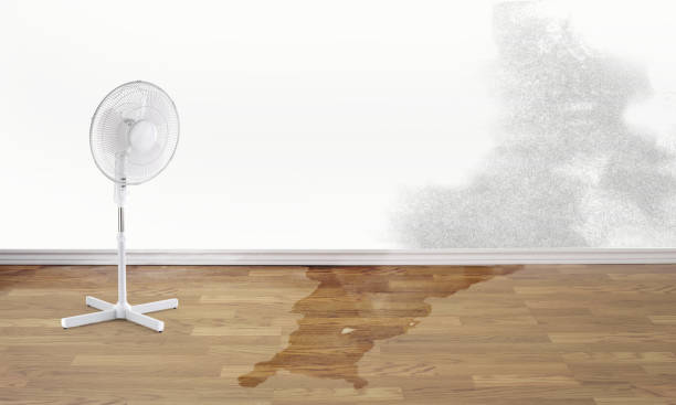 Trusted Nanuet, NY Water damage restoration Experts