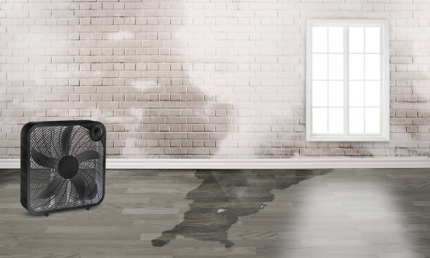 Best Residential water damage restoration  in Nanuet, NY