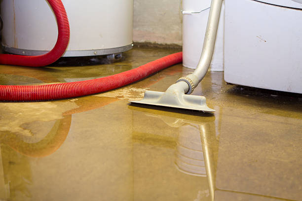 Best Carpet water damage restoration  in Nanuet, NY