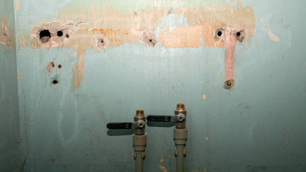 Best Local water damage restoration  in Nanuet, NY